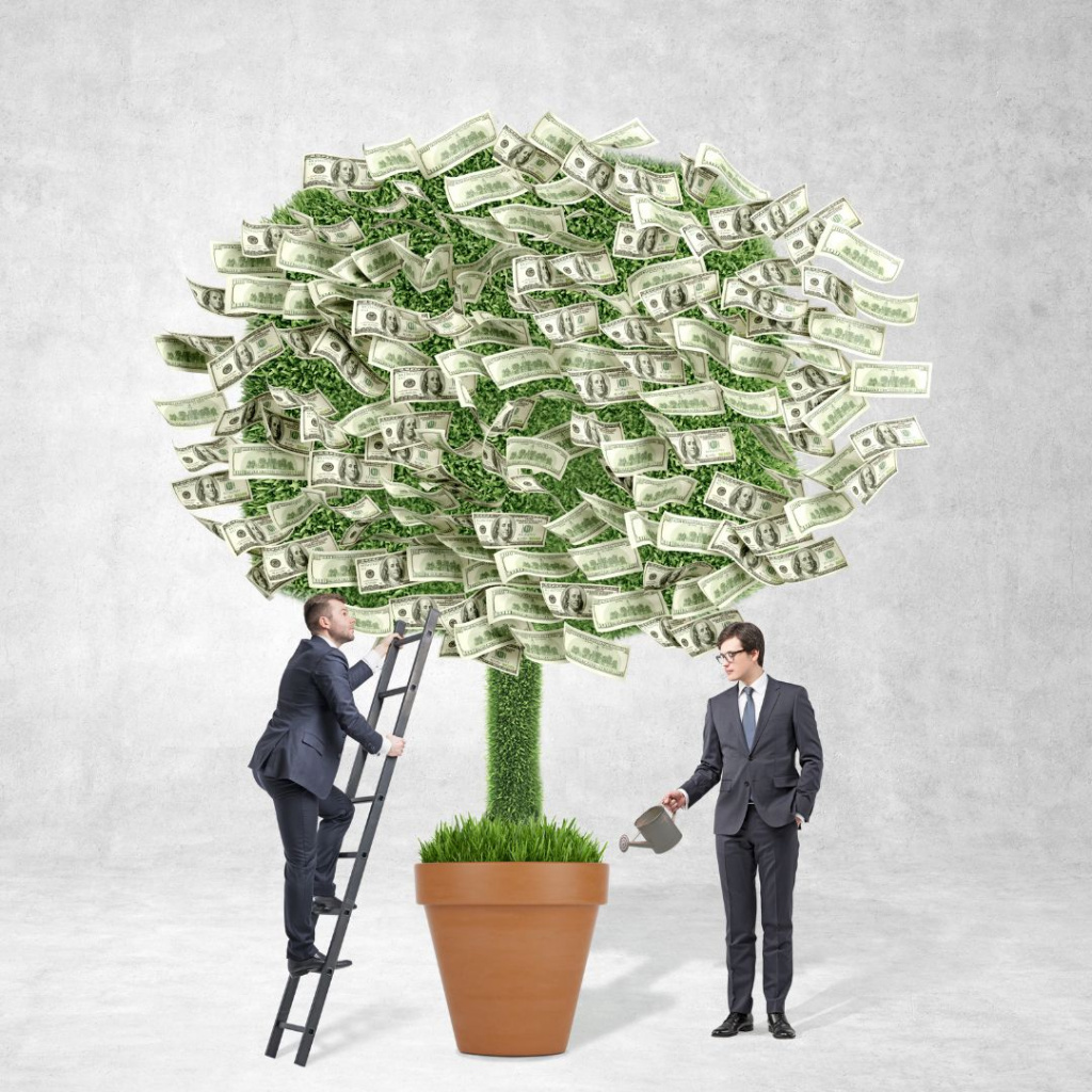 Корень вашего денежного дерева — как быть «при деньгах» (ноябрь, 2022)
